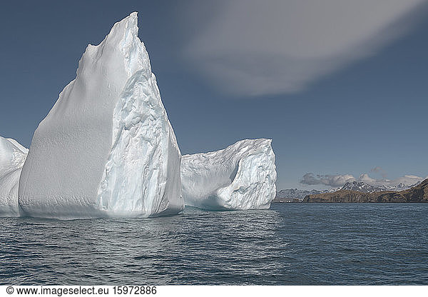 Ocean Harbour  Floating Icebergs  South Georgia Island  Antarctic  Polar Regions
