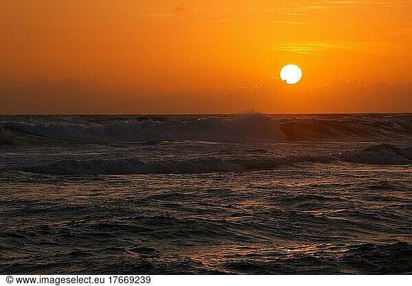 Ocean sunset with large sun