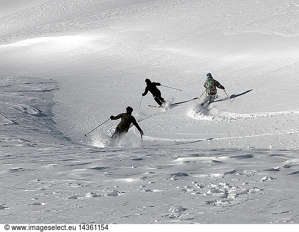 Off-piste skiing Punta Leysser  Vetan Villette  Vetan  Aosta Valley  Italy