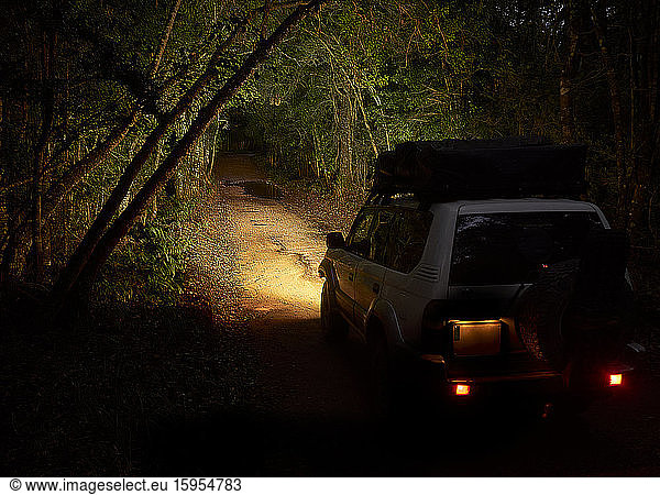 Off-road vehicle entering forest at night  Plettenberg Bay  South Africa