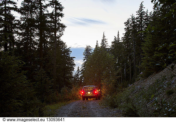 Off-road vehicle moving on road amidst trees during at dusk