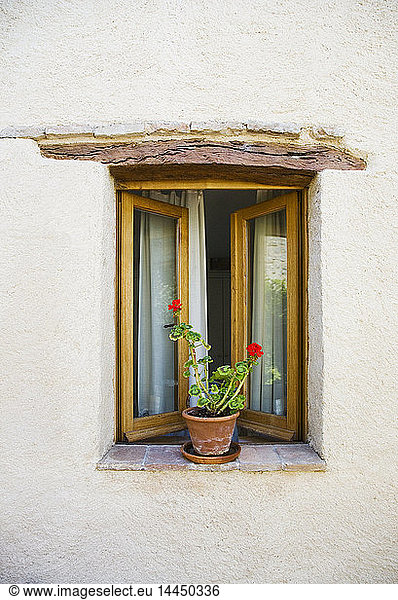 Offenes Fenster und Topfpflanze