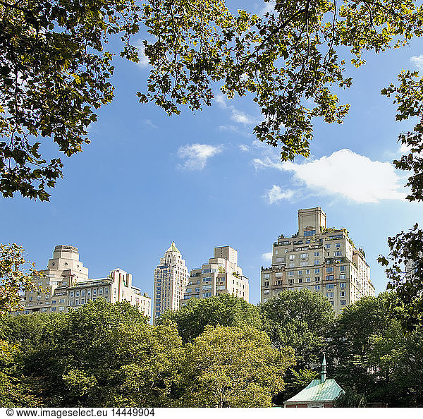 Office Buildings from Central Park
