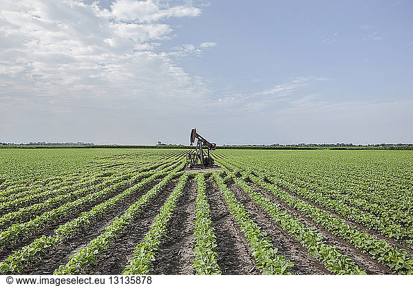 Oil well on agriculture field against sky