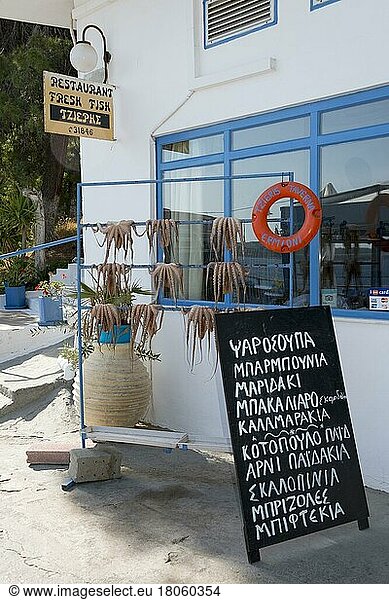Oktopus  Taverne  Ermioni  Peloponnes  Griechenland  Europa