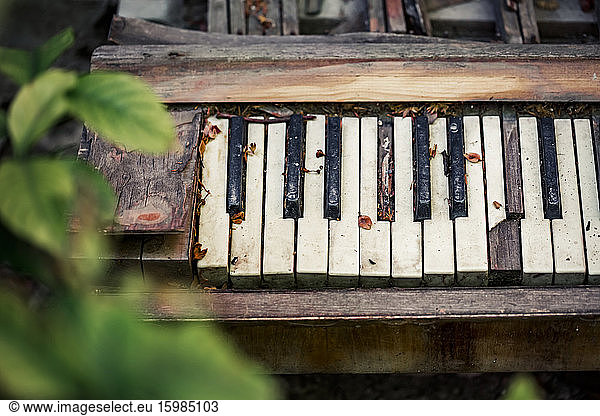 Old broken piano in backyard