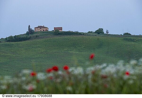 Old buildings in hilly landscape  province of Siena  Tuscany region  Italy  Europe
