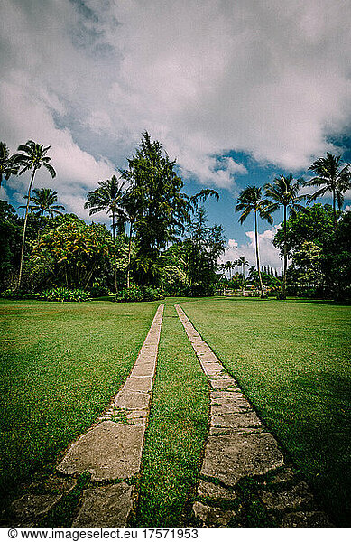 Old Driveway Leads Through Lush Lawn and Palm Garden