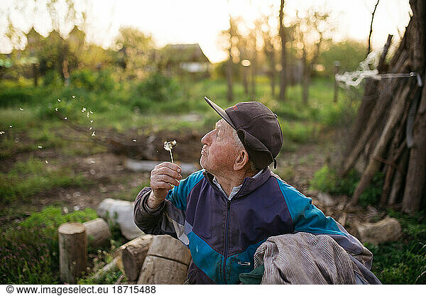 Old man blowing dandelion in nature