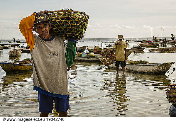Old man carrying basket of seaweed