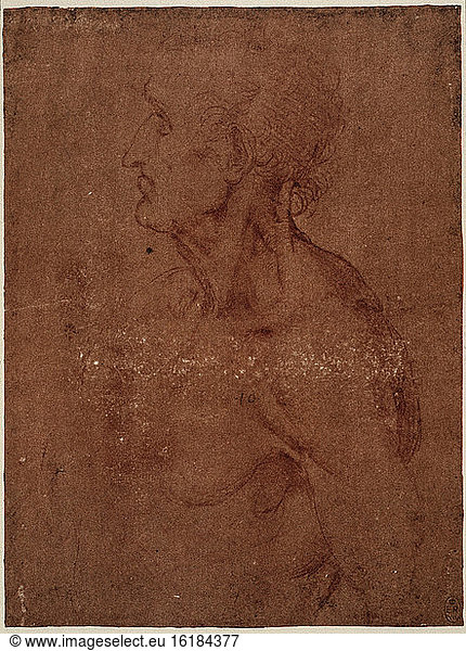 Old Man / Leonardo da Vinci / Drawing