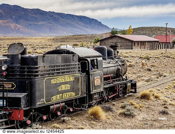 Old Patagonian Express La Trochita  steam train  Nahuel Pan Train Station  Chubut Province  Patagonia  Argentina.