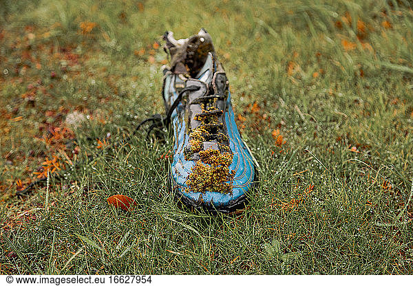 Old shoe deteriorating in grass