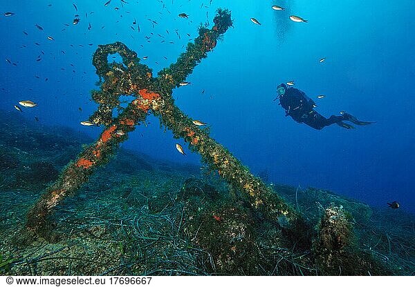 Old stick anchor  diver in the background  Mediterranean Sea  Elba  Tuscany  Italy  Europe
