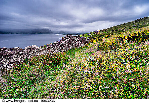 Old stone wall rolling over the green hills of Ireland