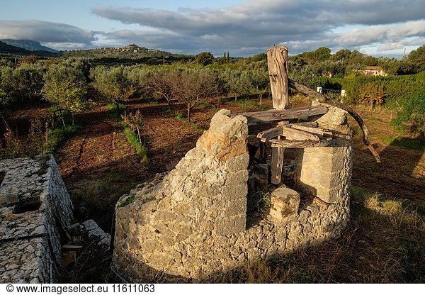 Old traditional mill  possessió Son Mas - Pla del Rei  Mallorca  balearic islands  spain  europe.
