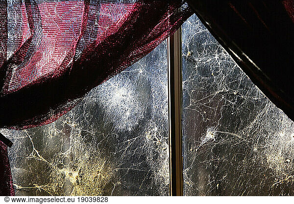 Old window  red drapes and cobwebs.