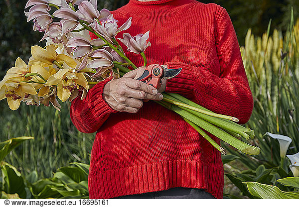 Older Woman Holding Fresh Cut Bouquet of Flowers in her Garden