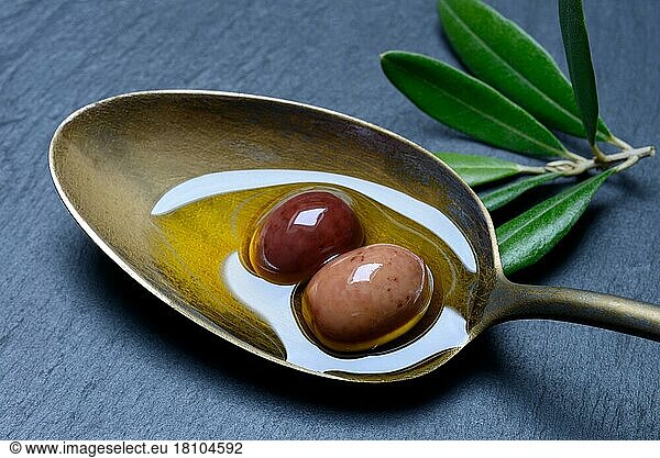 Olivenöl und Oliven in Löffel  Amphisis-Oliven  Griechische Oliven aus Amphissa  Griechenland  Europa