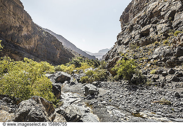 Oman  Ad Dakhiliyah  Nizwa  Getrocknetes Flussbett in Wadi Ghul