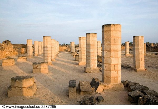 OMAN-Dhofar Region-Salalah: Al-Baleed Ruinen - Site des 12.Jahrhunderts trading-Port des ZAFAR / spät am Nachmittag