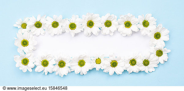 On a blue background is a rectangular frame of flowers. Postcard  greetings card.