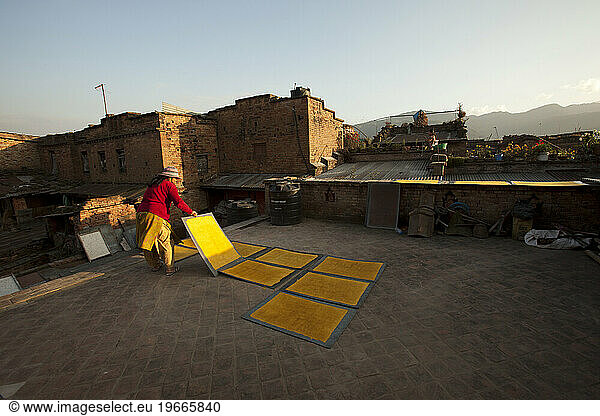 One local Nepalese woman drying hand made paper on a rooftop in nice light.