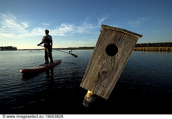One man stand up paddleboarding (SUP) by a birdhouse in a marsh in nice light.