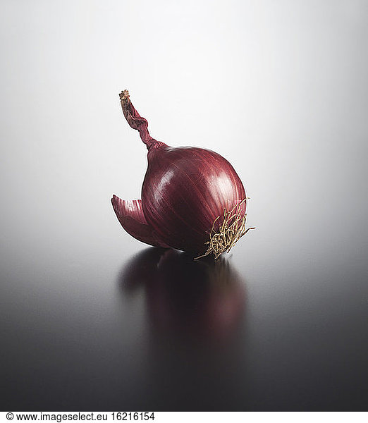 Onion on coloured background  close up