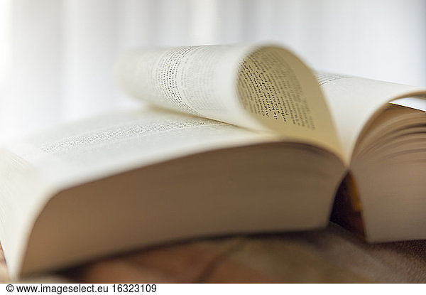 Open book  close-up