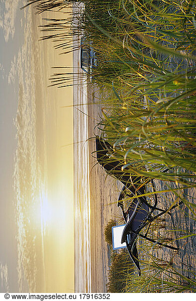 Open laptop on sun lounger in reeds on at beach at sunset.