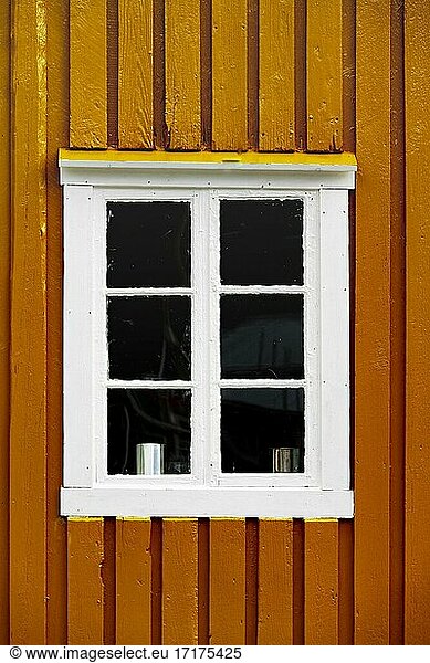 Orange house wall with white window  rorbuer  typical wooden houses  Lofoten  Norway  Norway  Europe