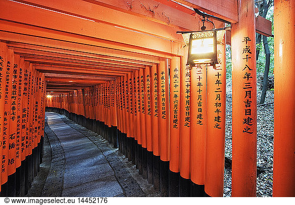 Orange Posts with Asian Text