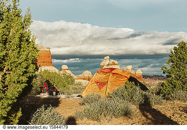 orange tent and backpack setup amidst desert shrub in utah