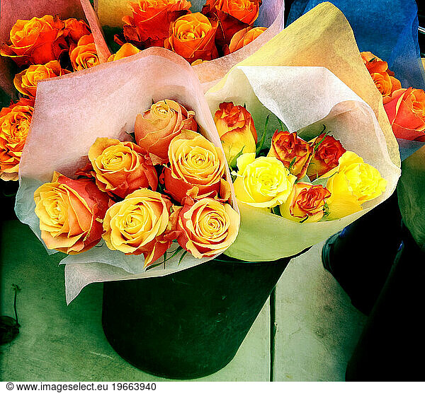Orange & Yellow Roses