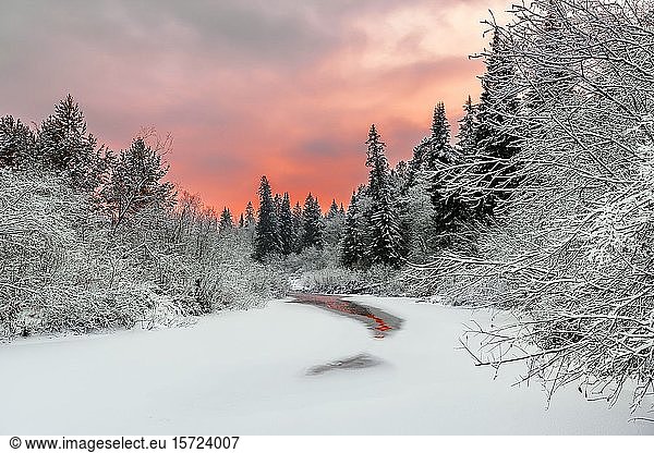 Orangefarbener Abendhimmel über einem zugefrorenen Waldfluss.