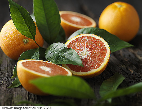 Orangen ganz und halbiert auf Baumrinde