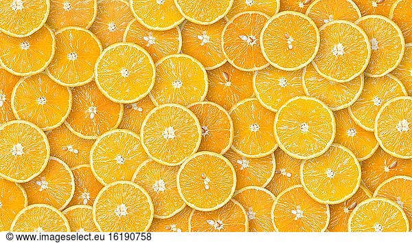 Orangen in Scheiben  biologischer Anbau  Hintergrundbild  Österreich  Europa
