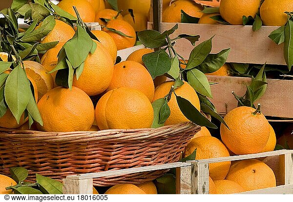 Orangenfrucht (Citrus sinensis)  zum Verkauf am Marktstand  am Marktstand  Turin  Piemont  Italien  März  Europa