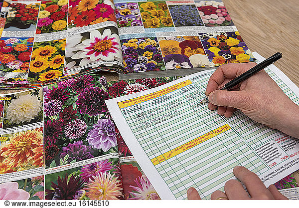 Ordering floral seed seeds in a catalog