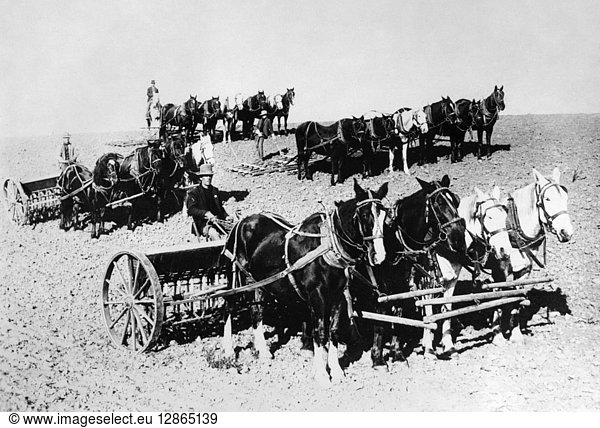 OREGON: FARMERS  c1880. Farmers with horses and farm equipment in eastern Oregon. Photograph  c1880.