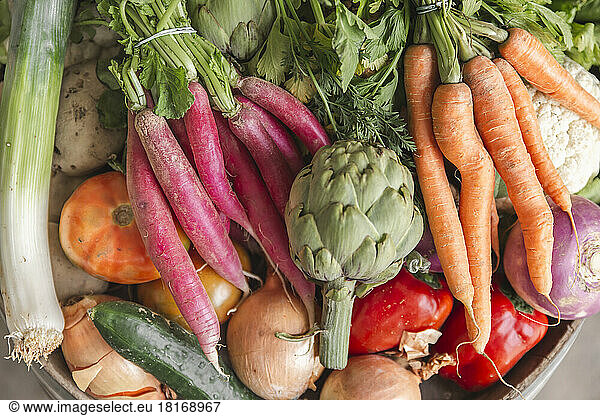 Organic farm fresh vegetables on barrel
