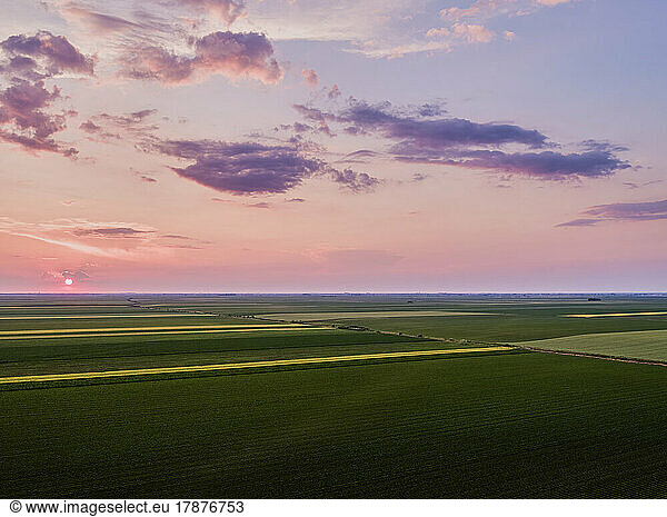 Organic fields at sunset seen from above