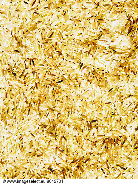 Organic long grain brown rice  white background