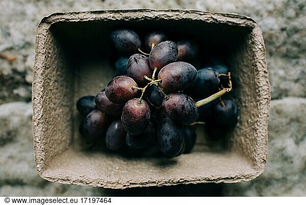 Organic purple grapes in a paper recyclable paper tray