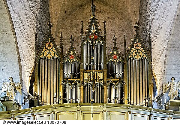 Orgel der Domkirche St. Marien  Tallinn  Estland  Tallinn  Estland  Europa