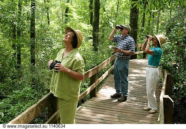 Orientierungslichter Park  Natur Boardwalk  Ornithologen  Bäume. Dothan  Alabama. USA.