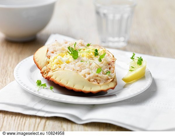 Orkney-Krabbe in der Schale mit Kräutern und Zitronenkeil