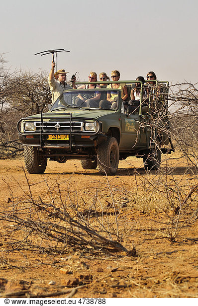 Ortung von Geparden mit Sendehalsband mit einer Antenne auf dem Gelände der Gästefarm Okonjima,  Namibia,  Afrika