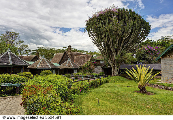 Ostafrika  Baum  See  Lodge  Landhaus  Kerzenhalter  Kerzenständer  Kenia  Nakuru